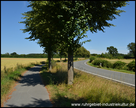 Straßenbegleitender Radweg (Blick zurück)