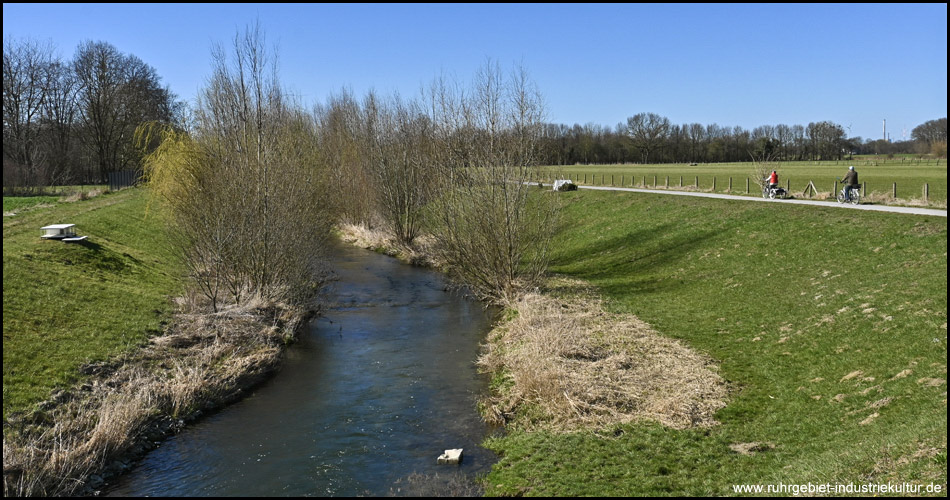 Radweg am Fluss