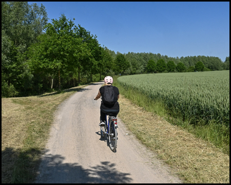 Radfahrerin auf dem Sesekeweg