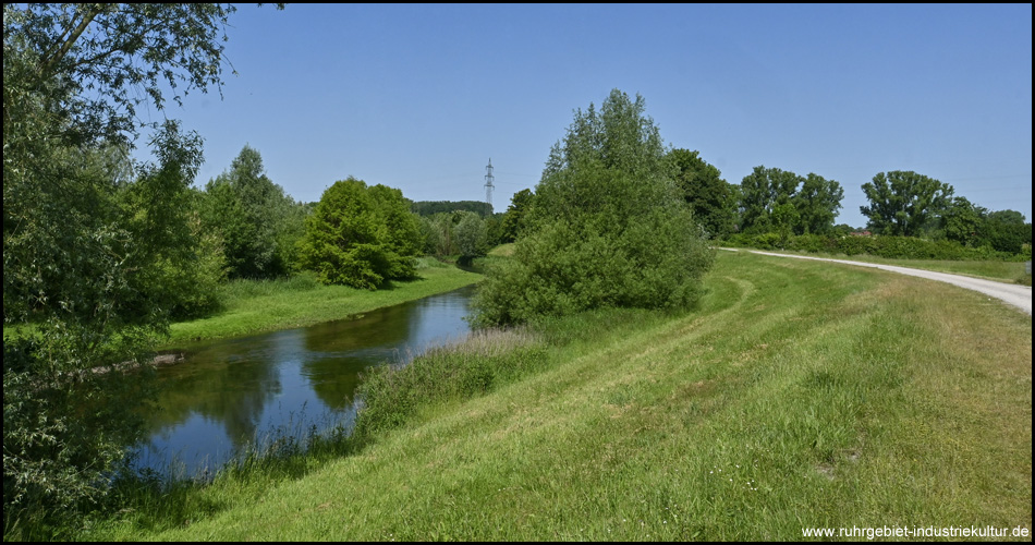 Landschaft im Fluss in der Seseke