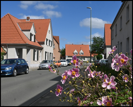 Zechensiedlung Neustadt in Ahlen