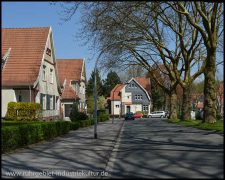 Siedlung Teutoburgia