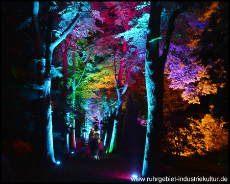 Stadtlichter auf dem Westfriedhof in Unna