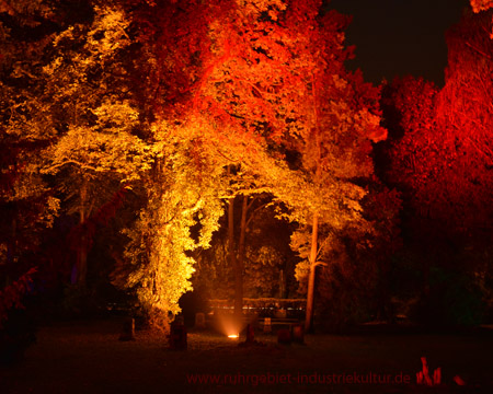 Stadtlichter auf dem Westfriedhof in Unna