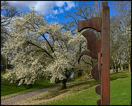 Ein blühender Baum und eine Kunstskulptur aus Stahl in einem Park