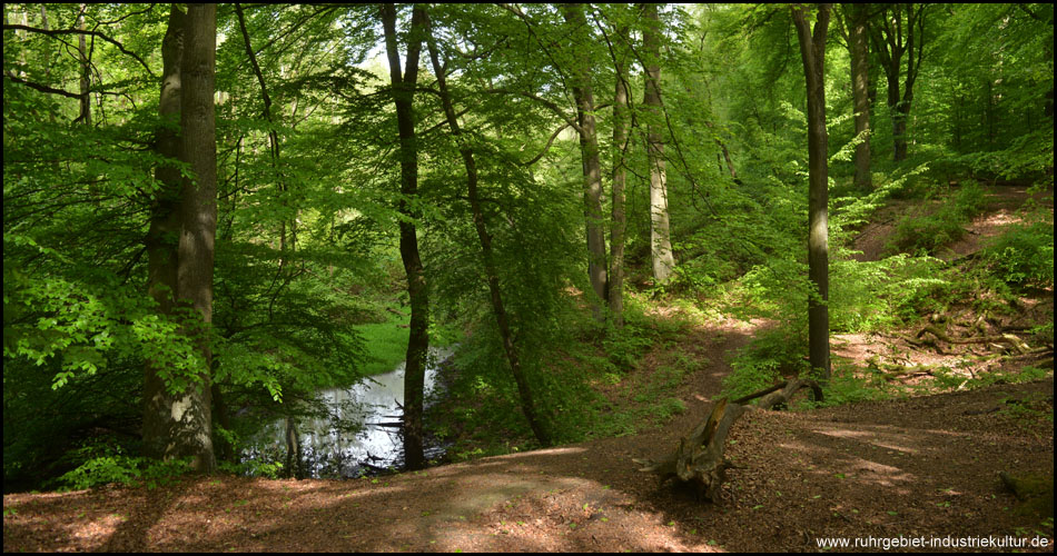 Mitten im Naturschutzgebiet Tippelsberg-Berger Mühle