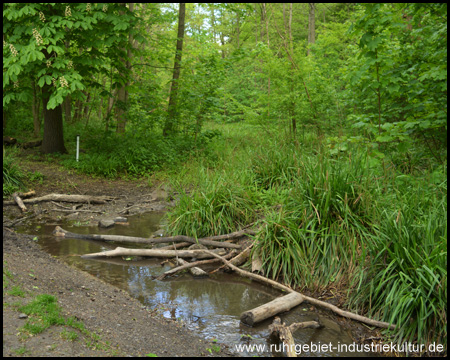 Der Bach plätschert ruhig durch das Tal