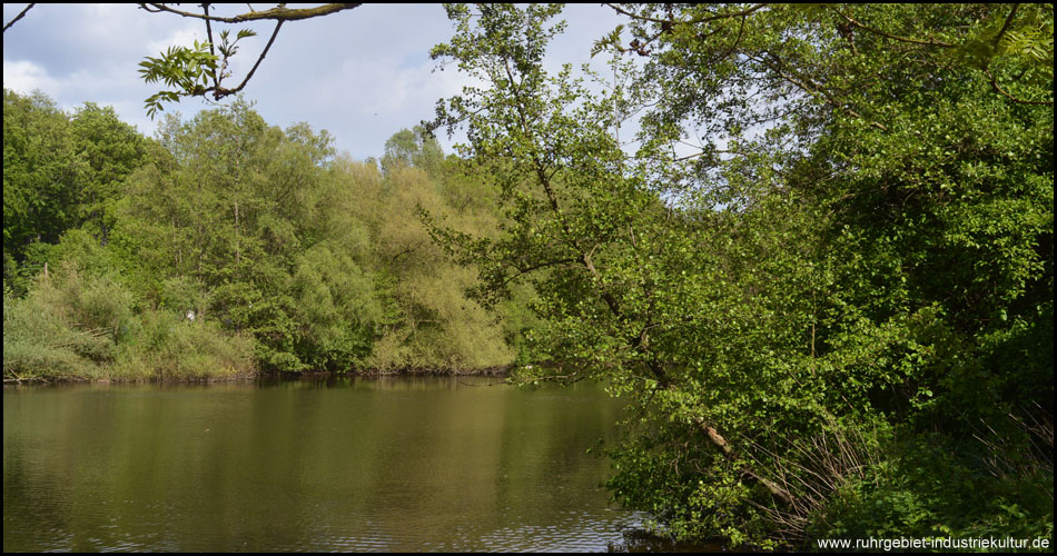 Stembergteiche an der Zillertalstraße, am westlichen Rande bereits außerhalb des Naturschutzgebietes