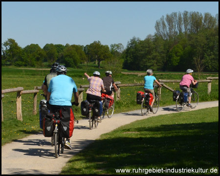 Erlebnisreiche Radtour durch die Steverauen