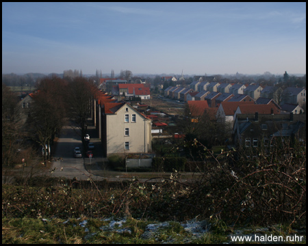 Blick auf die Wohnsiedlung von Suderwich