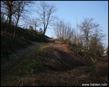 Steilere und terrassierte Alte Suderwicher Alm