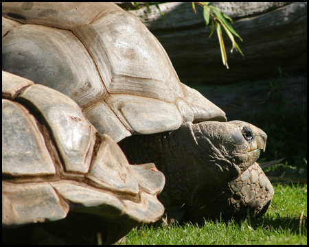 Bochumer Tierpark