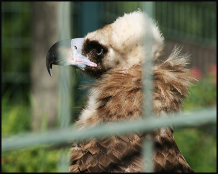 Bochumer Tierpark