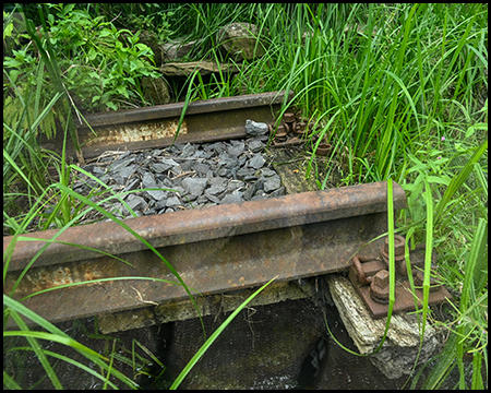 Eisenbahnschienen unter Gras