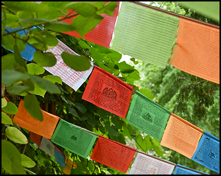 Buddhistische Gebetsfähnchen in einem Busch gespannt