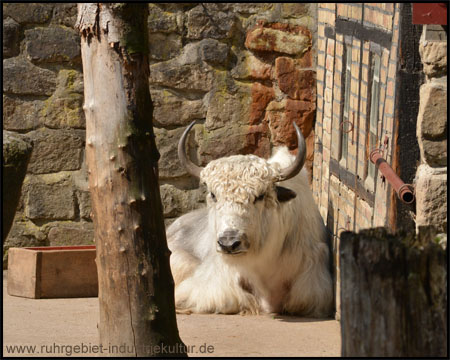 Tierpark Hamm