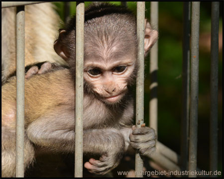 Tierpark Hamm