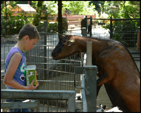 Tierpark Hamm