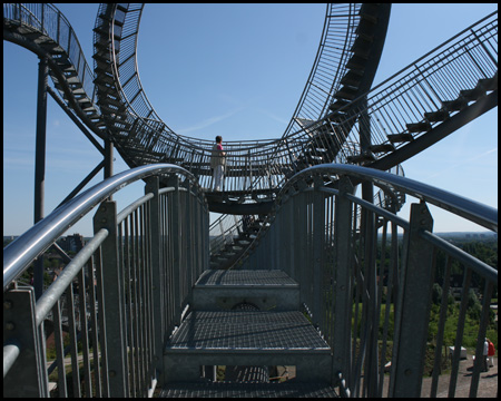 Tiger & Turtle