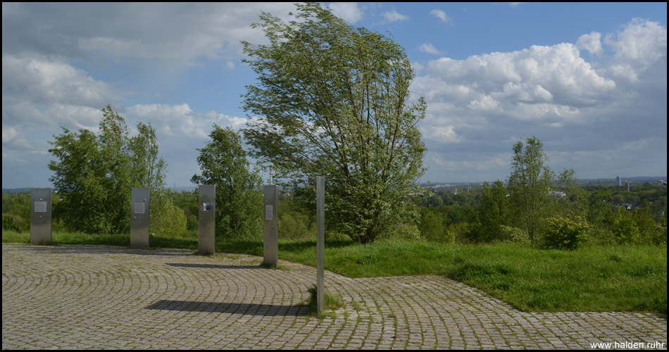 Auf dem Gipfel des Tippesberges. Die Bäume bewegen sich im stürmischen Wind