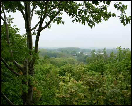 Einziger gefundener "Aussichtspunkt" 2009: eine Lücke im Wald