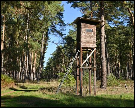 hölzerner Hochsitz