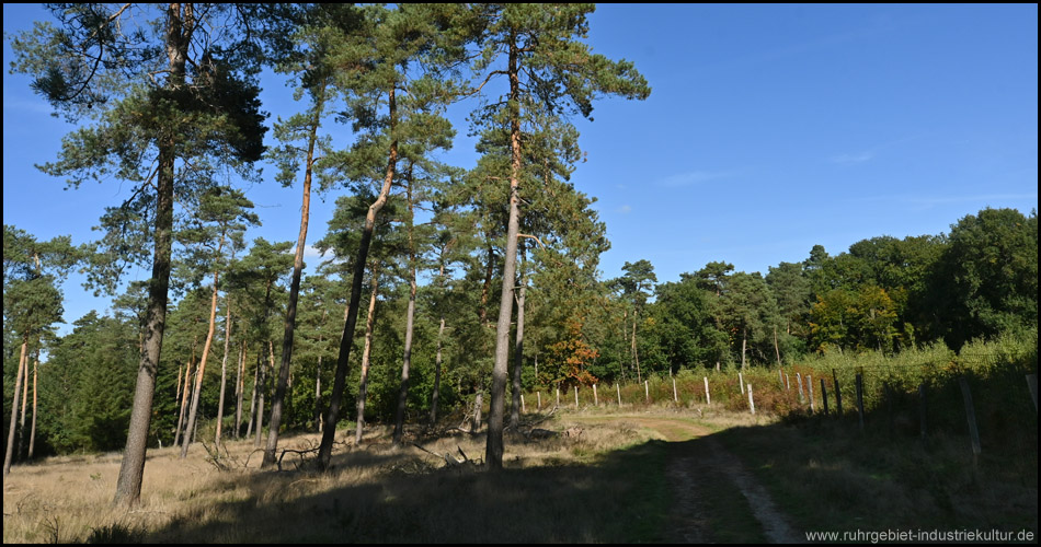 Wanderweg durch die Üfter Mark