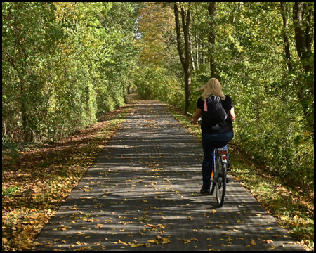 Radfahrerin auf einem Radweg zwischen Bäumen