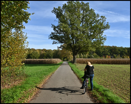 Radfahrerin auf Radweg