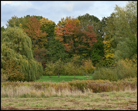 Bunte Bäume im Herbst