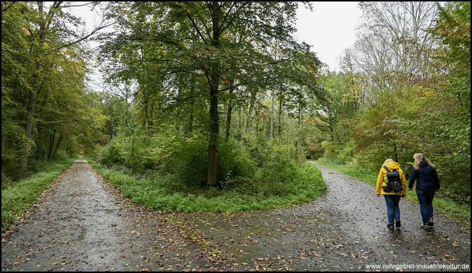 Wegekreuzung mit zwei Wanderinnen im Wald