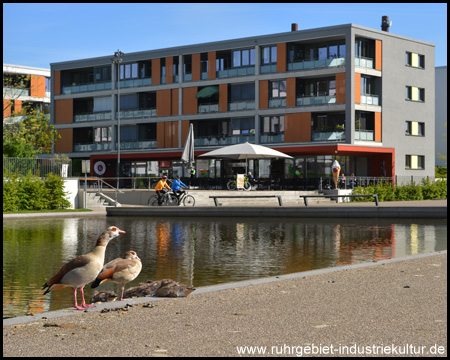 Radfahrer und Vögel besiedeln das neue Stadtquartier