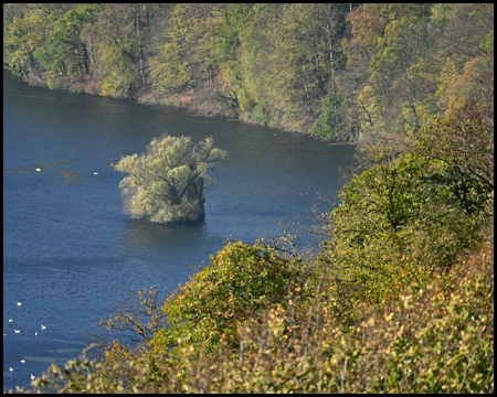 Bunte Herbstbäume am Berghang