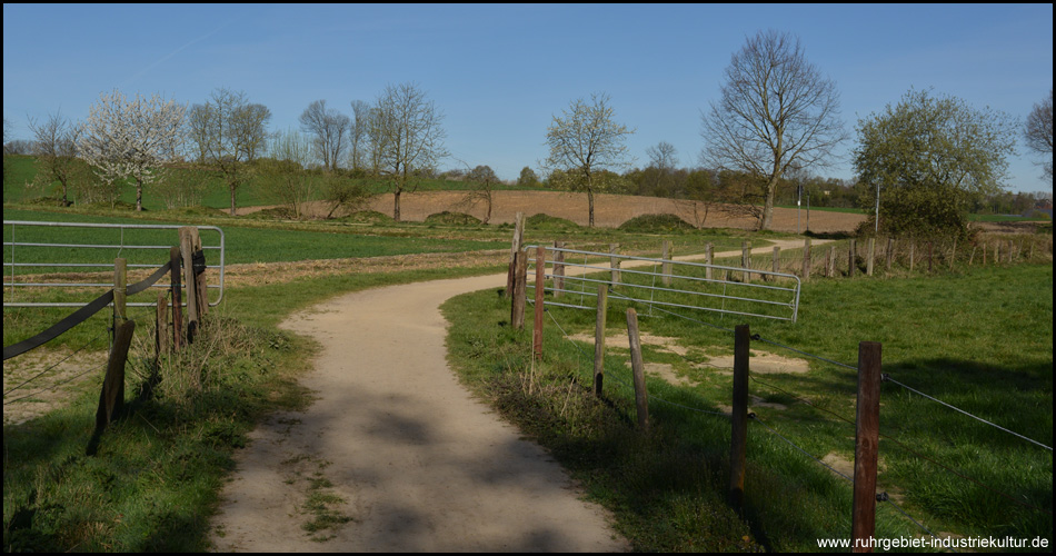 Hinter dem Naturschutzgebiet Wagenbruchquellen: Der Weg führt weiter durch landwirtschaftlich geprägte Gegend