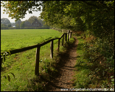 Weg am Waldrand zwischen Haard und Weide