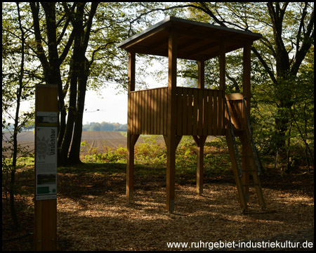 Aussichtsturm mit Blick vom Wald auf das Feld