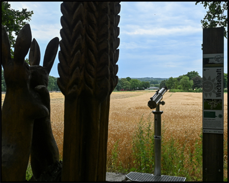 Ein Waldrand mit Fernrohr und Holzskulpturen