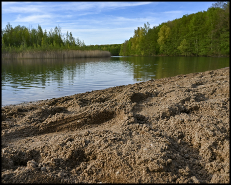 Waldsee mit Sandstrand in Moers