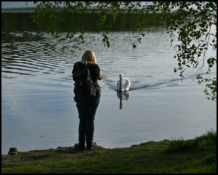 Frau am Ufer eines Sees mit einem Schwan