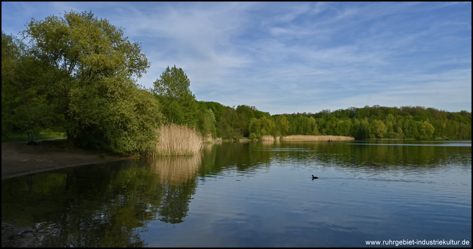 Der Waldsee mit Uferbereich in Moers