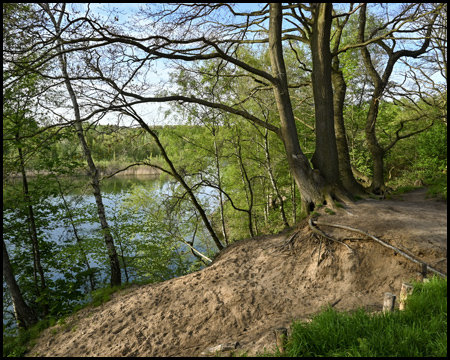 Steilufer an einem See 