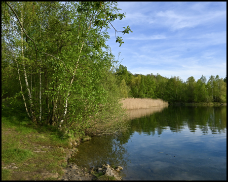 Waldsee Moers mit Ufer