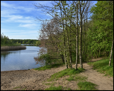 Ufer des Waldsees in Moers