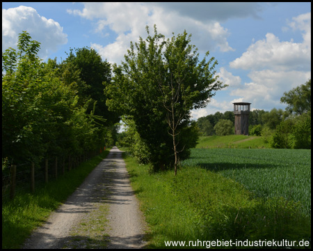 Ziel in Sichtweite: Holzturm am Wegesrand