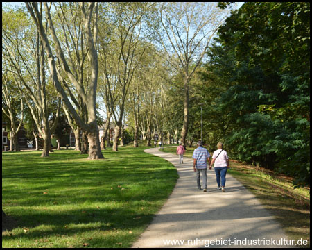 Der Weg schlängelt sich durch das Stephanswäldchen