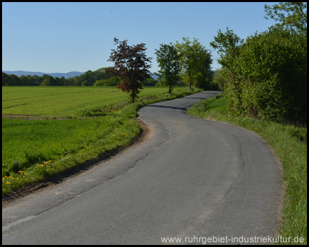 Straße Thabrauck am Reiterhof