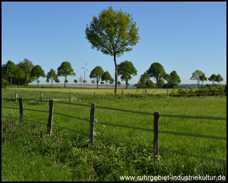 Man muss sich bewusst sein: das hier ist noch im Ruhrgebiet!