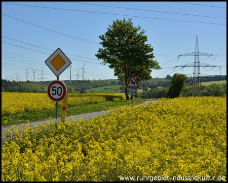 Baumstraße von Kessebüren nach Ostbüren