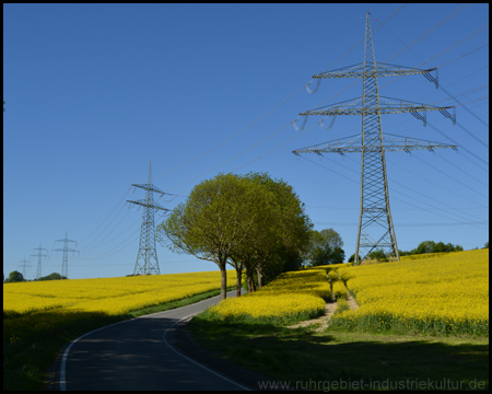 Schöne Kreisstraße durch die Rapsfelder