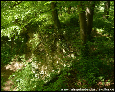 Steinbruch Frömern mit vielen geologischen Informationen